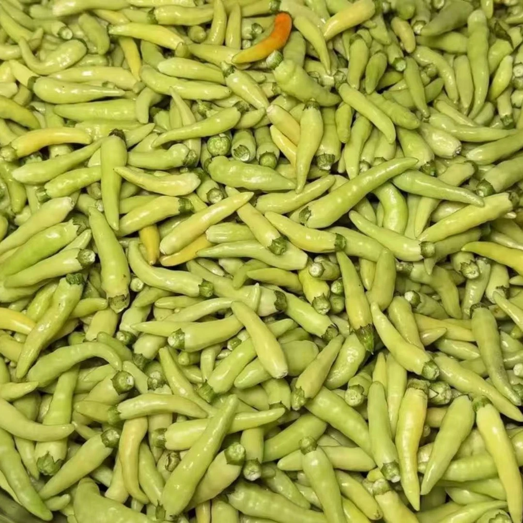 云南新鲜皱皮野山椒白米辣特辣可做泡椒腌菜现摘现发