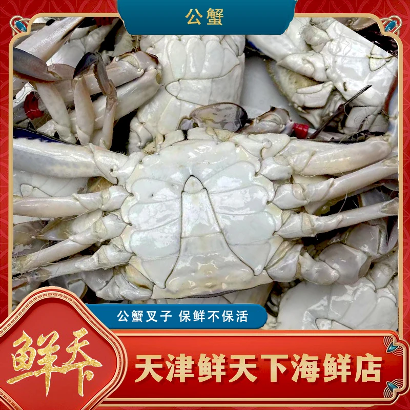 【保鲜不保活】东北精品大公蟹一斤2-3只一只3-5两掉爪 顺丰发货