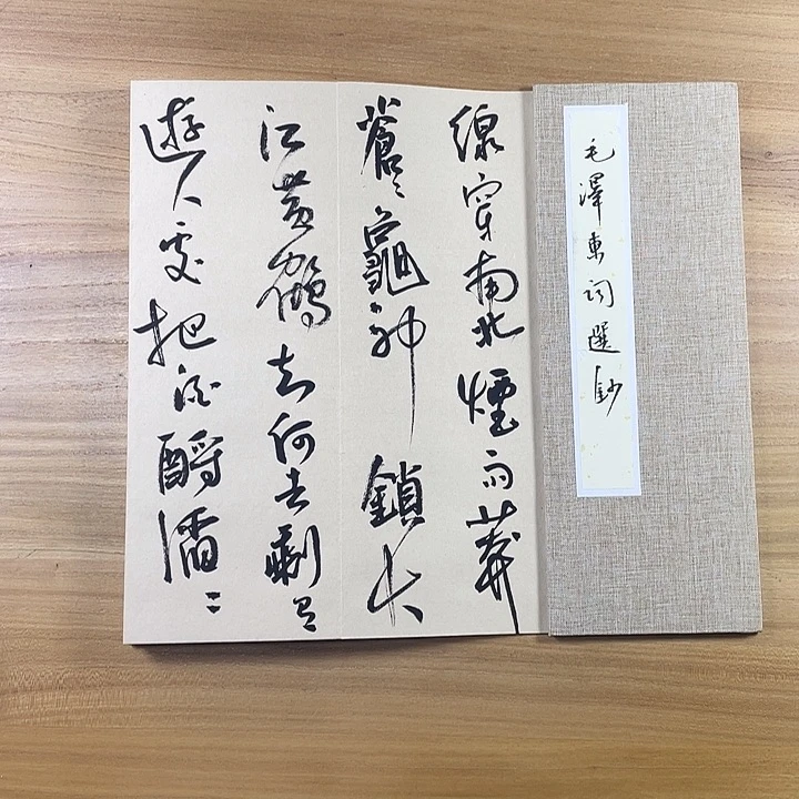 书法中书协会员作品