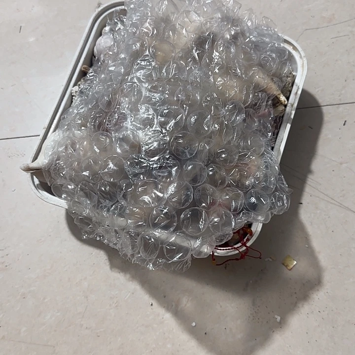 橄榄核其他张****吖Cgfgfggggggggg