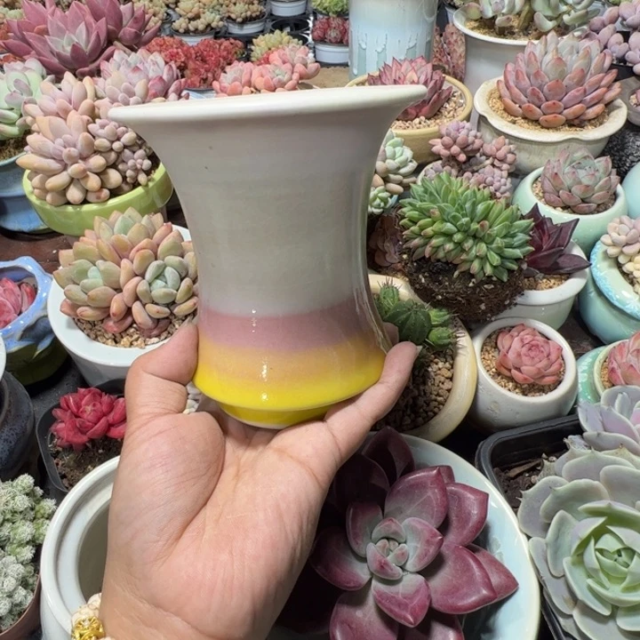 特价花盆满50发货内口9