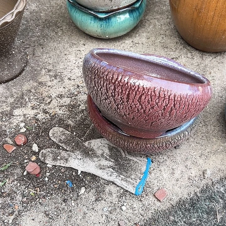 紫砂花盆花盆花盆花色跑得快