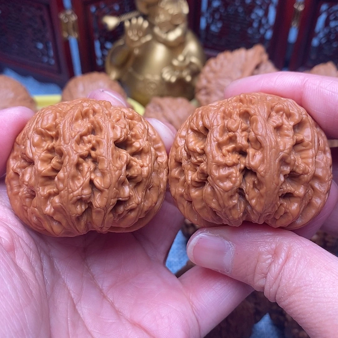 把件文玩核桃全品肉球绝配粗筋45.9尺