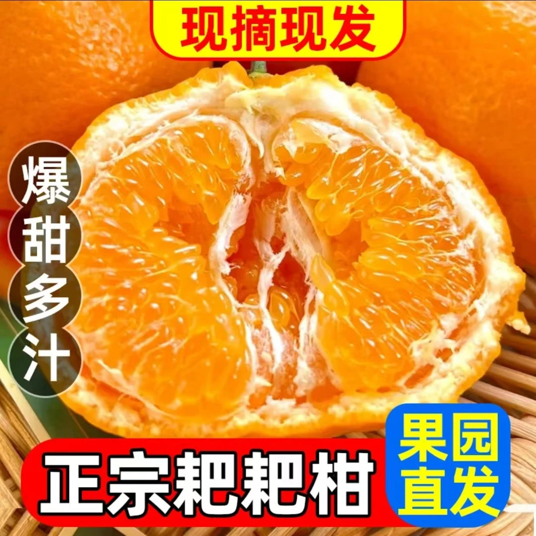 正宗四川丑橘耙耙柑果形圆润皮薄易剥晶果园直发新鲜采摘JJ