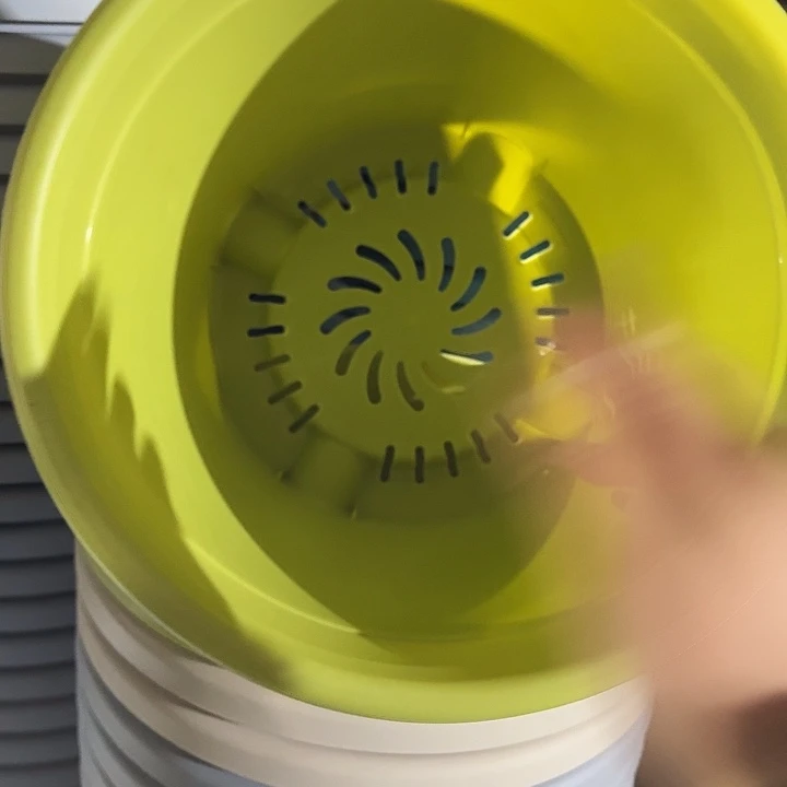 四季5号果绿无托10个特价微瑕