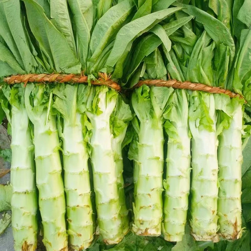 新鲜莴笋绿心爽口可多种方式烹饪的当季时令蔬菜