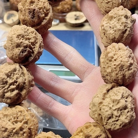 文玩核桃手串盘龙金蟾带彩12粒36