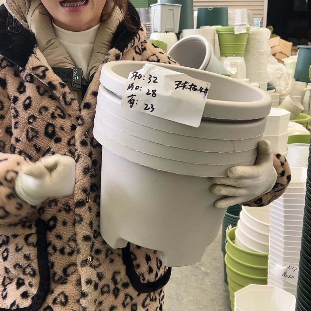 球根盆4#灰白5个无托