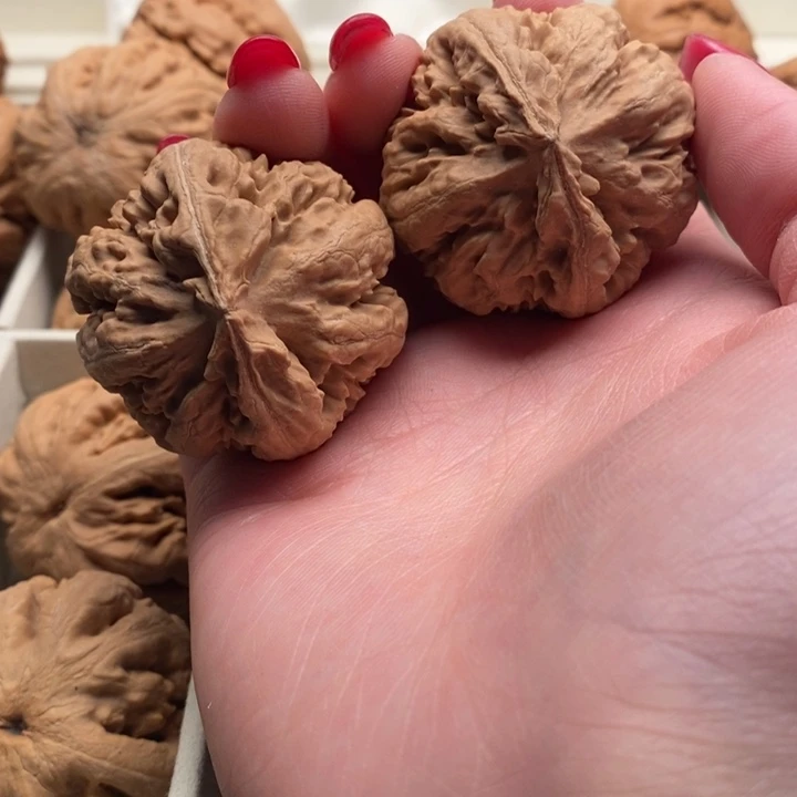 一***气文玩核桃把件霸王龙