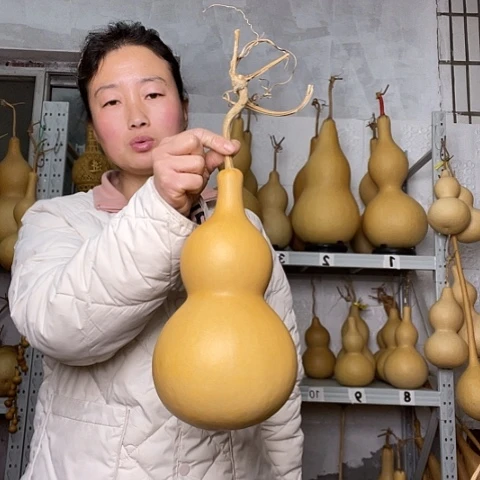 如*天然植物葫芦文玩