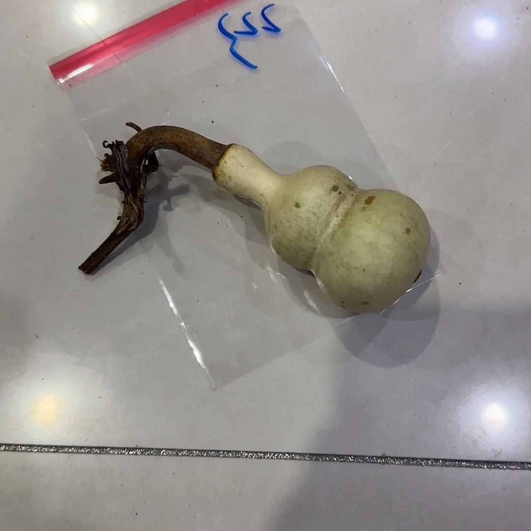 A***能青皮不包成青皮不包成