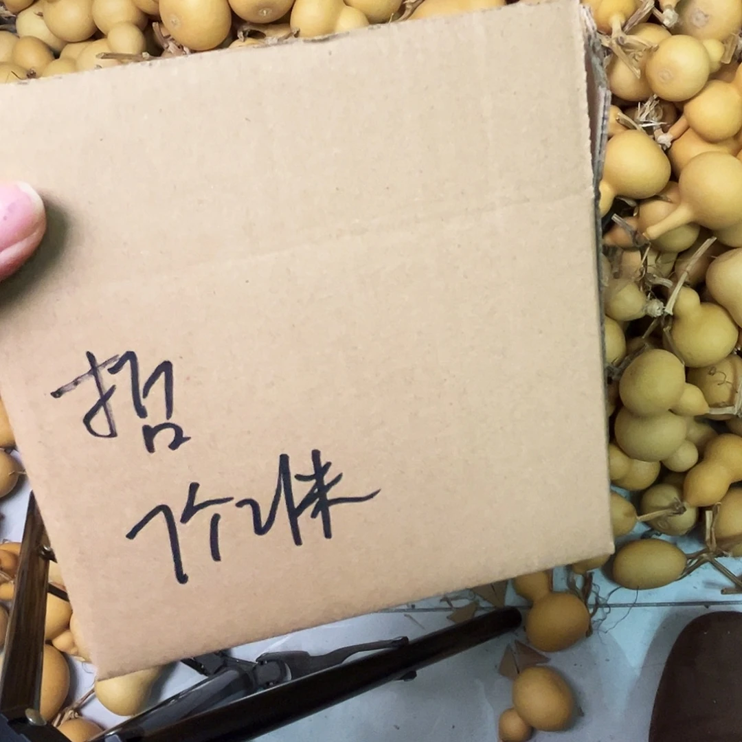 哲***天然小葫芦小葫芦小葫芦七个