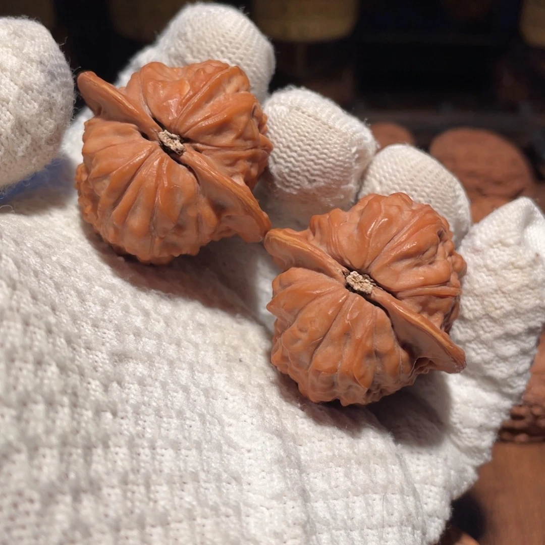 核桃41四眼鸡心nnnnn