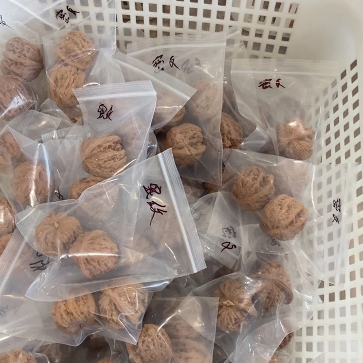 吊坠文玩核桃大密纹瑕疵