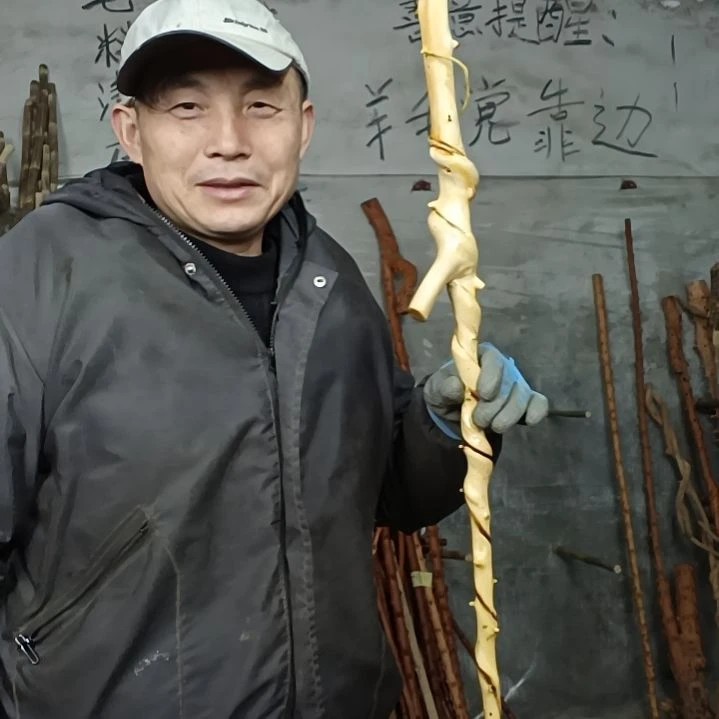 稳定木X****8贵州檬子木   铁马鞭   根艺  半成品