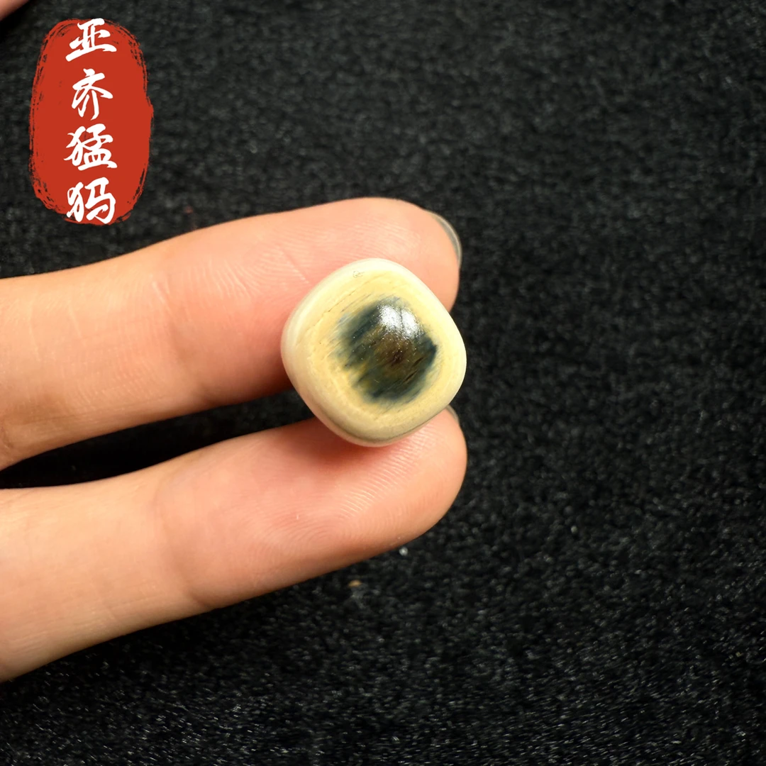 Y19猛犸象牙冰料蓝眼睛老型13*12