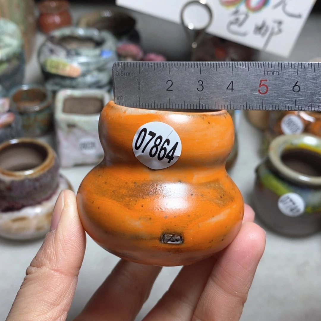 花盆拍5送一个小礼物