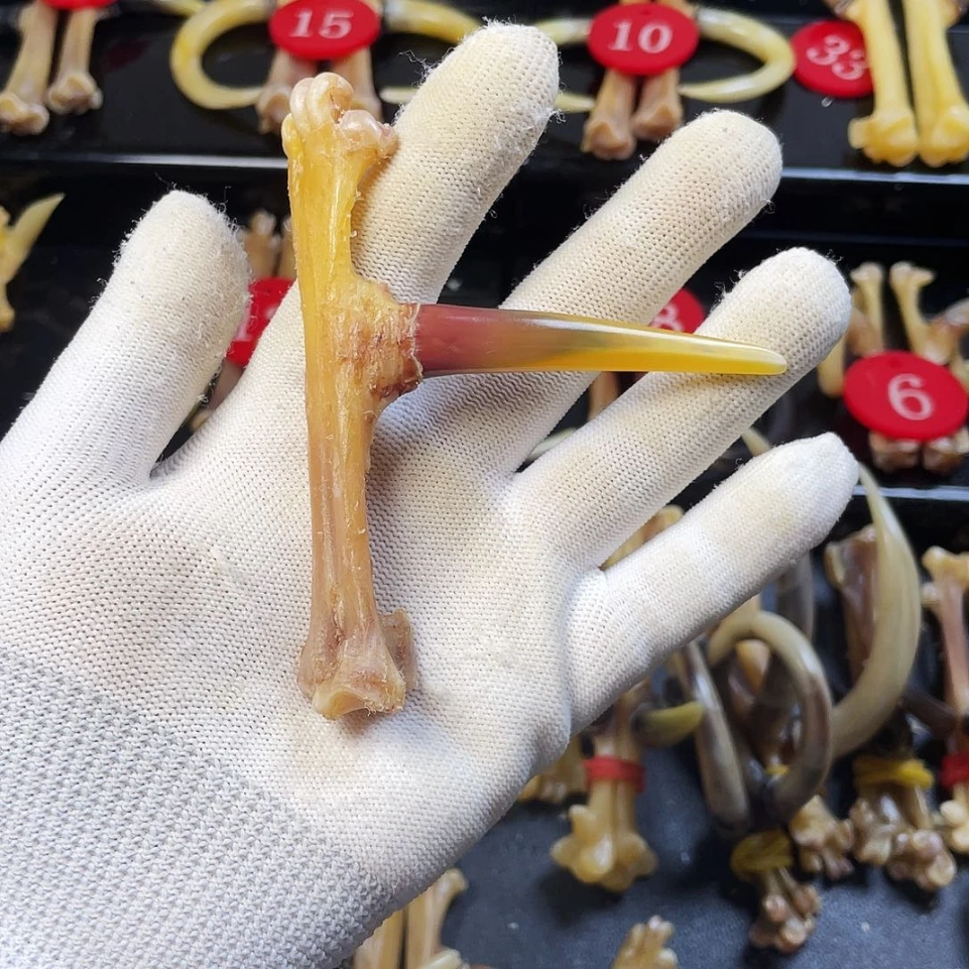 把件鸡骨（鸡脚）手把件