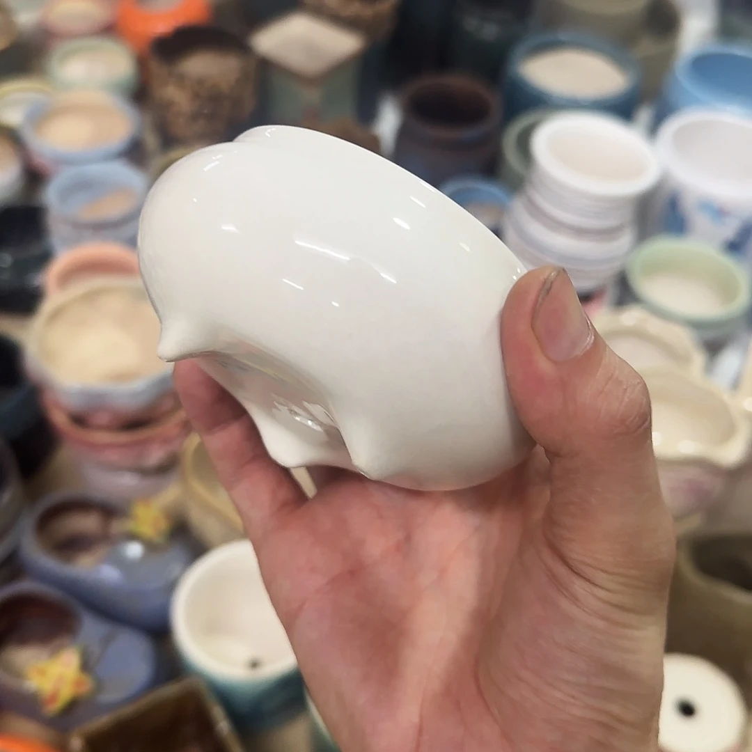 ··福利局·订单满9元合并发··