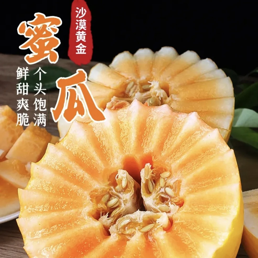 Z产地直发正宗民勤沙漠蜜瓜金黄河蜜新鲜当季水果