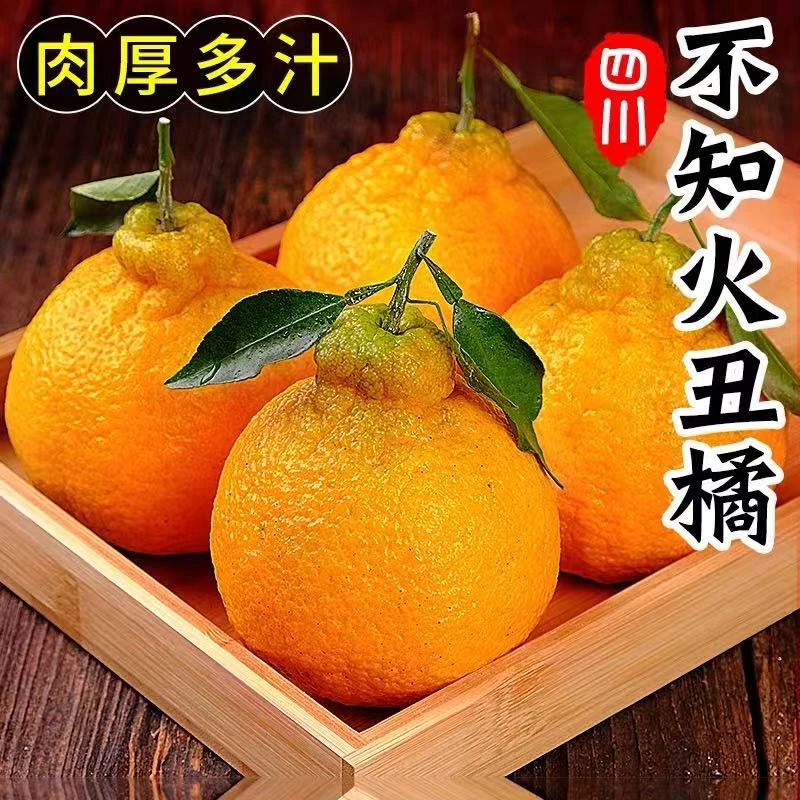 X 正宗四川不知火丑桔丑橘子水果新鲜应季批发5斤整箱