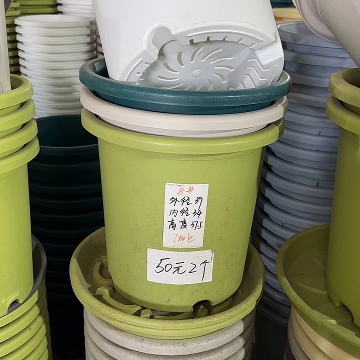 微瑕8#口径39无托果绿5个