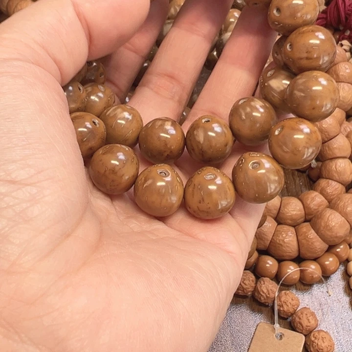 15左右小属鼠首单圈