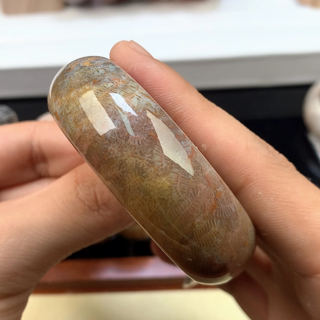 【闪购商品】颈饰未镶嵌硅化珊瑚（珊瑚玉）69号小胖虫52.6圈