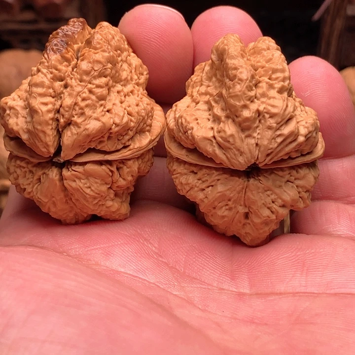 桃核把件临沧古蟾王5号链接