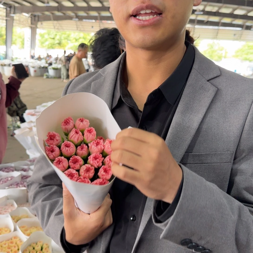 粉钻康乃馨1扎包邮价秒杀