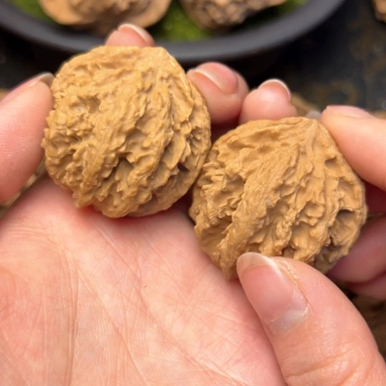 文玩核桃吊坠秦岭核桃13