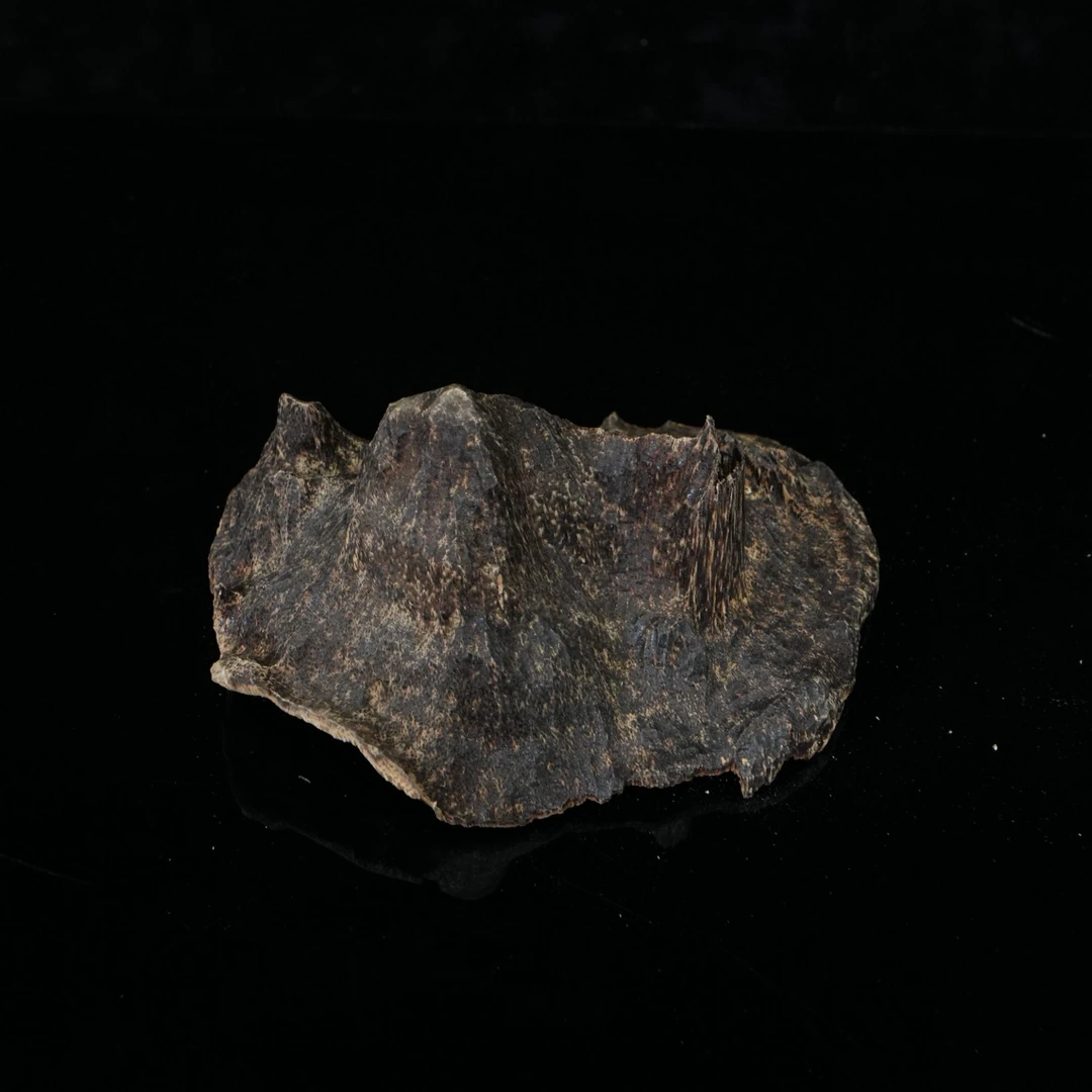 6341 香港沉香铁结9分沉包头  26.04g