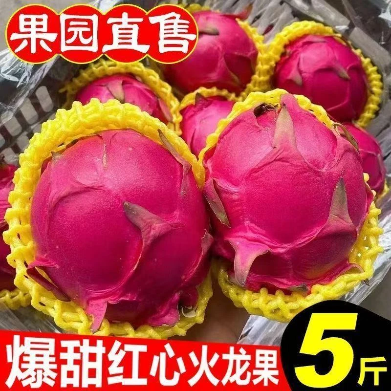 唐老师9队红心火龙果带箱5斤现摘现发新鲜直发唐老师线下小曹1