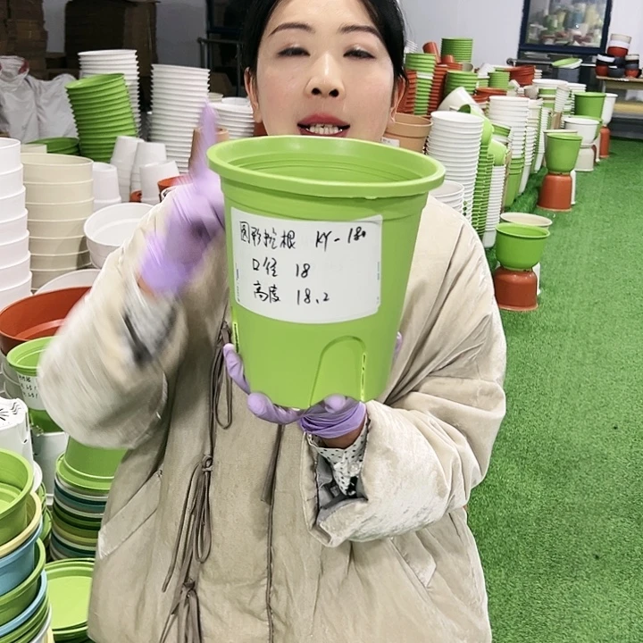 正品圆控口18高18果绿8只无托