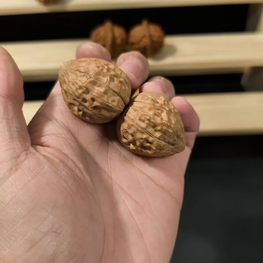 文玩核桃吊坠31龟甲纹