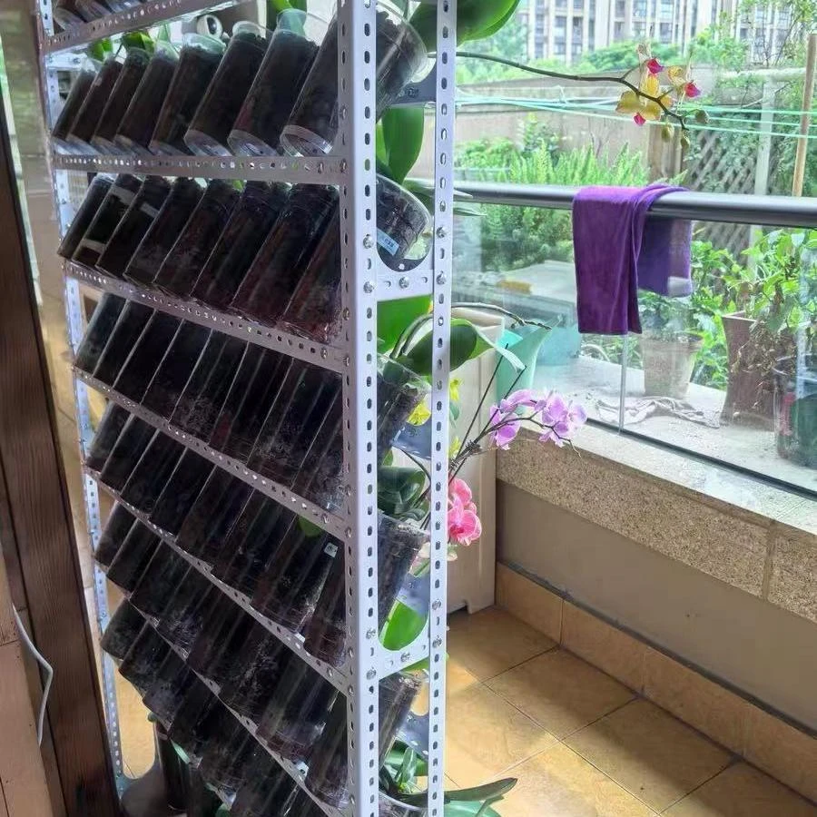 蝴蝶兰花架靠墙小货架自由组合万能角钢角铁条组装材料带孔三角铁