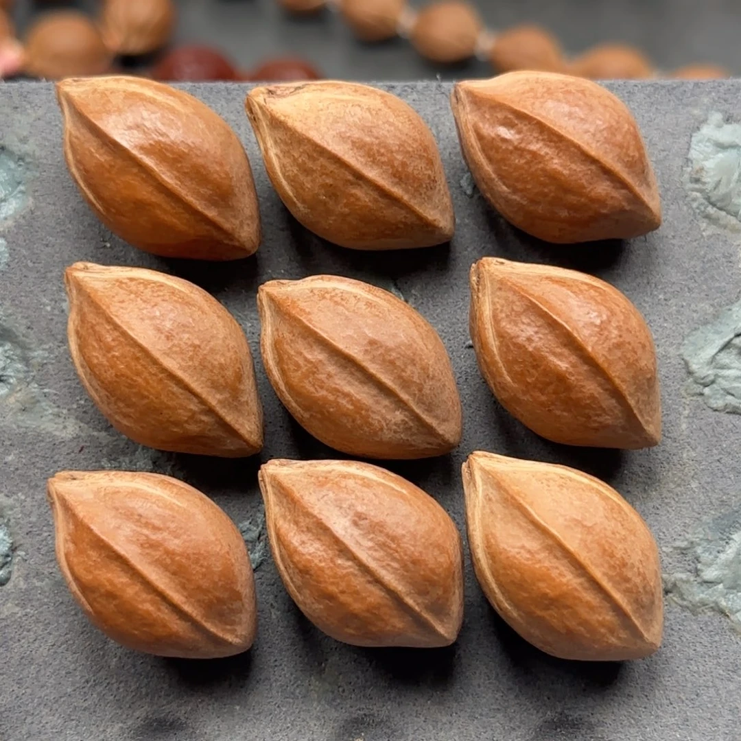 橄榄核手串2.0✖️3.1高桩