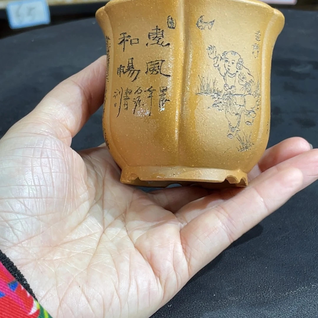 花盆紫砂紫砂和白