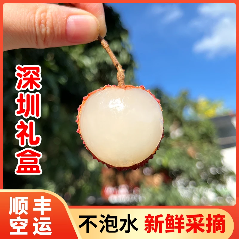 顺丰空运南山芳姐糯米糍荔枝仙进奉3/5/8/10斤新鲜水果包邮