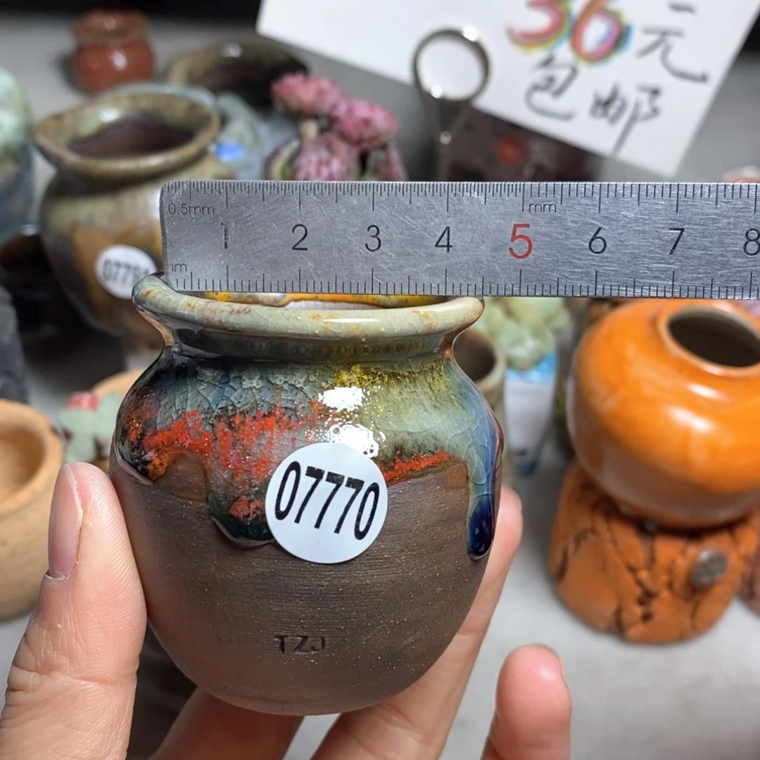 花盆拍5送一个小礼物