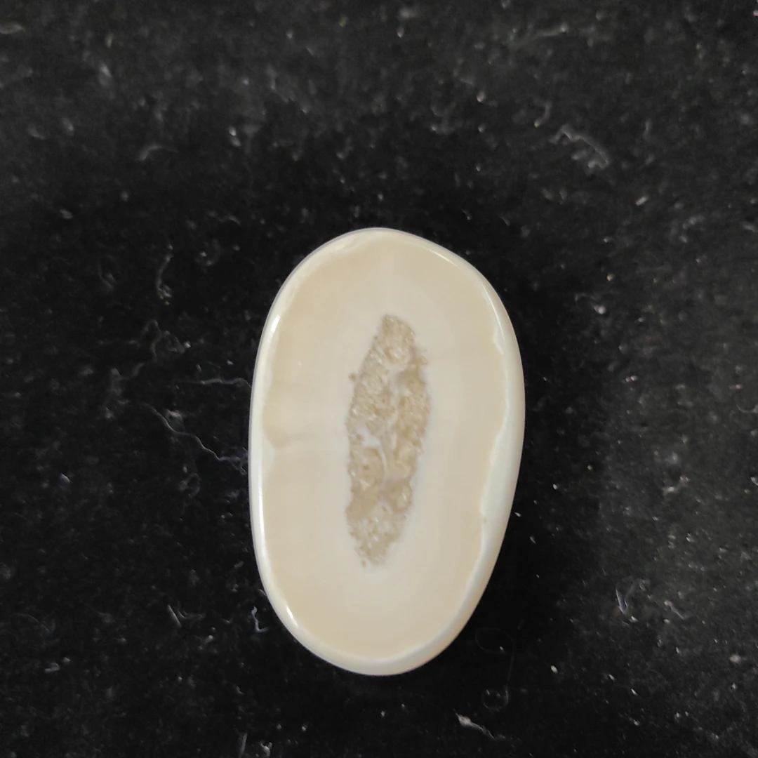 猛犸猛犸虬饼子WT688