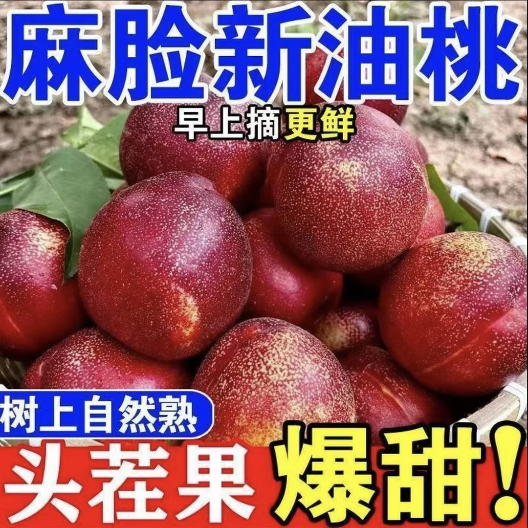 【正宗蒙阴桃】山东蒙阴蜜桃露天甜大油桃整箱批发新鲜当季脆桃发货