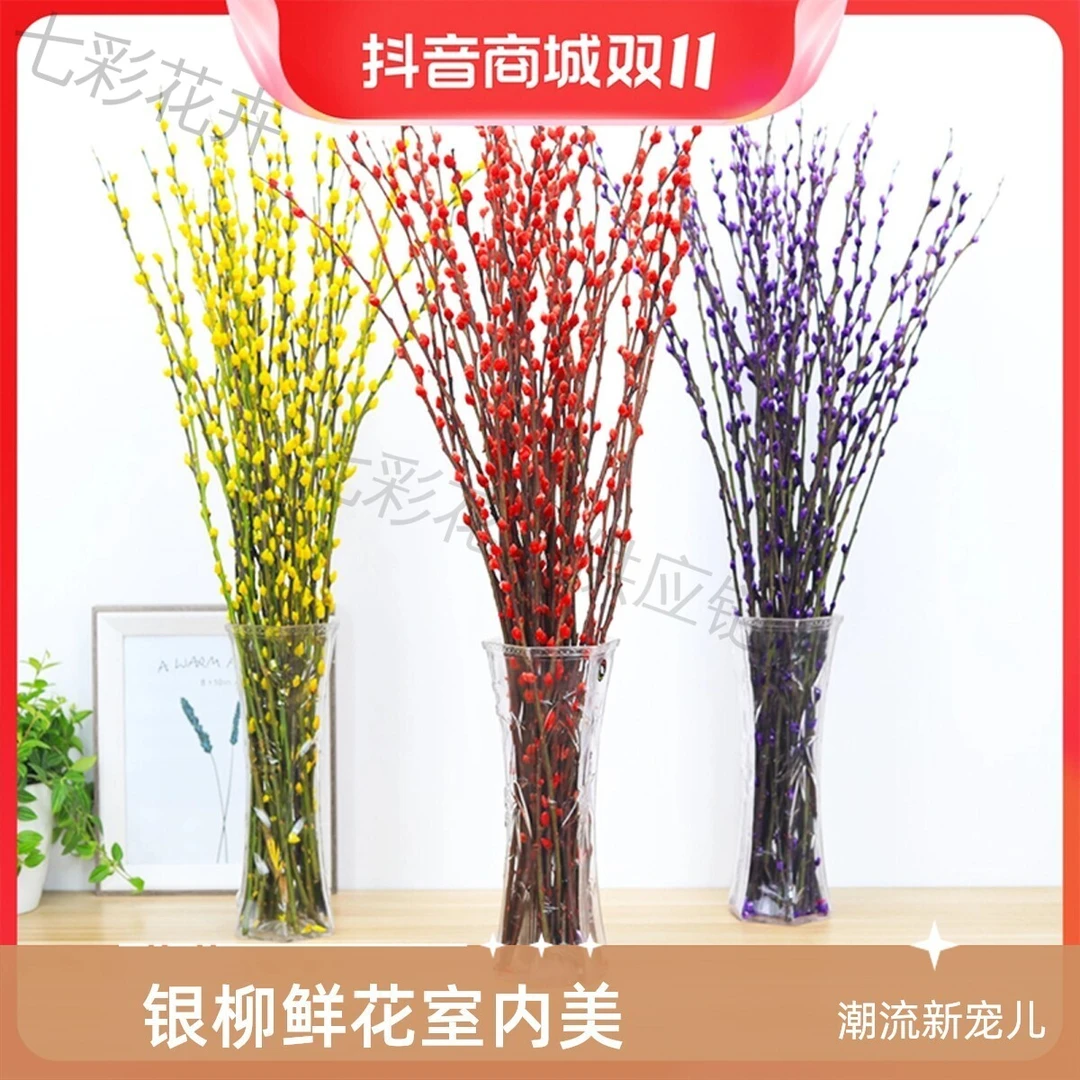基地直销高档银柳【彩色】银柳鲜枝真花年宵花卉冬季花卉室内耐寒鲜