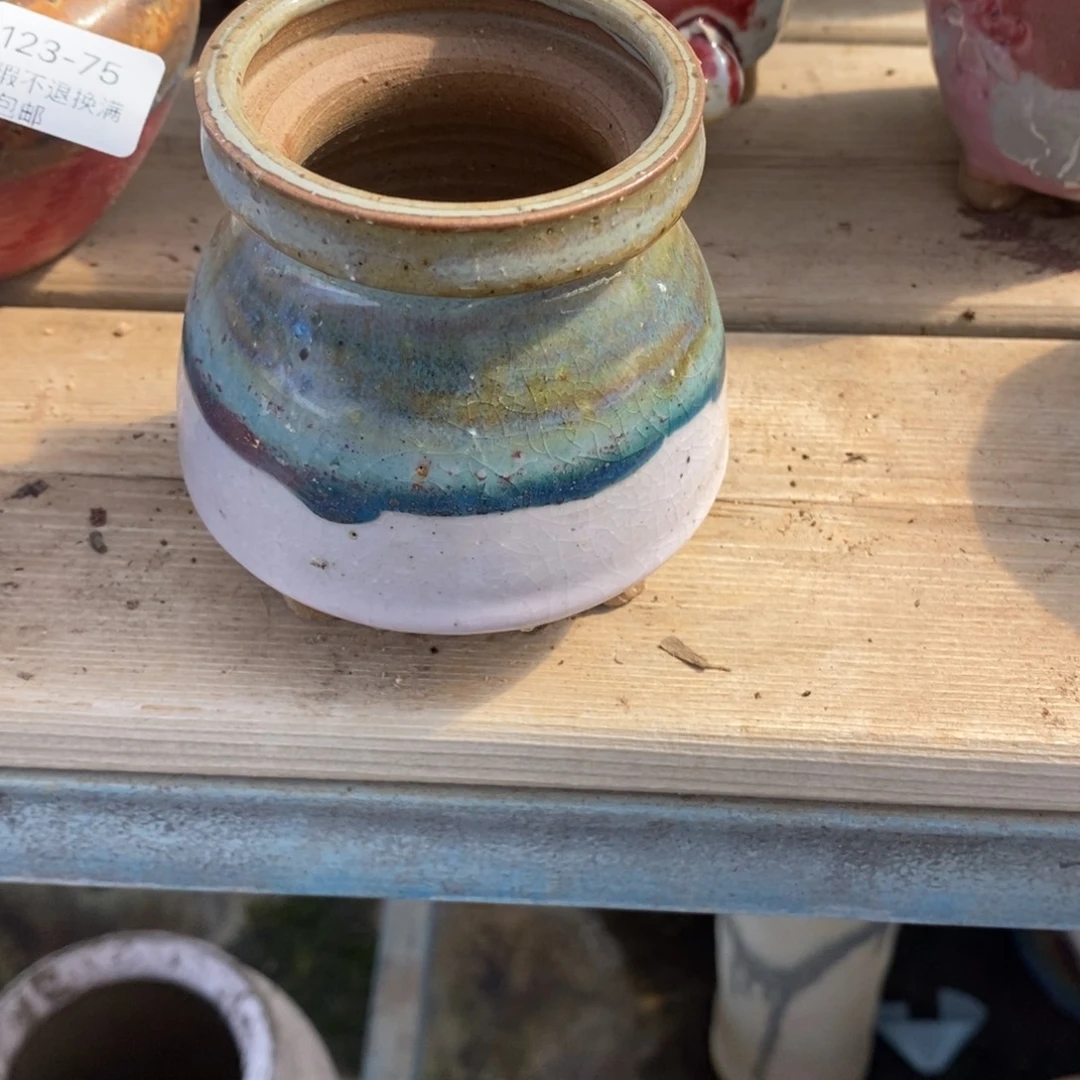 83号多肉盆口径6小可爱