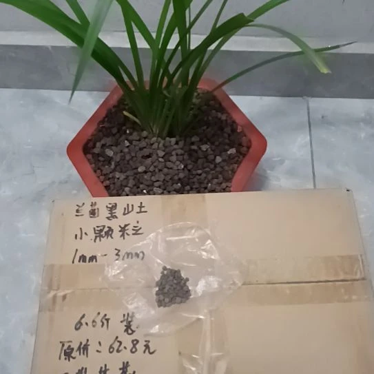 兰***质兰菌黑山土小颗粒6.6斤