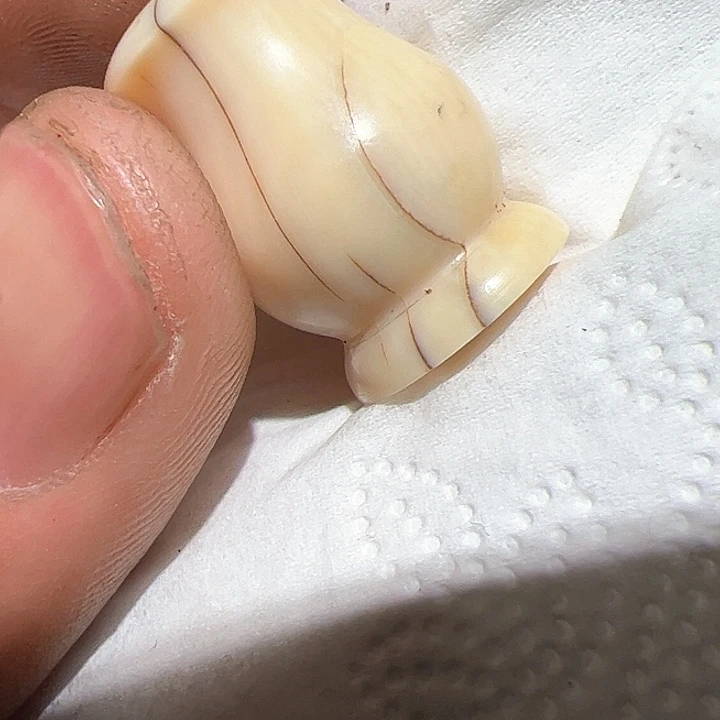 香榧木在家了一个小时