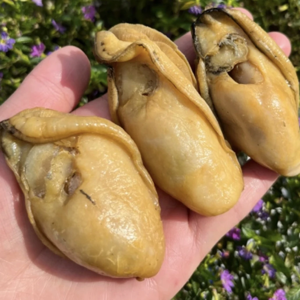 80头台山金蚝 生晒无抽油金蚝 六成干 煲汤煲粥香煎焖肉 净重500