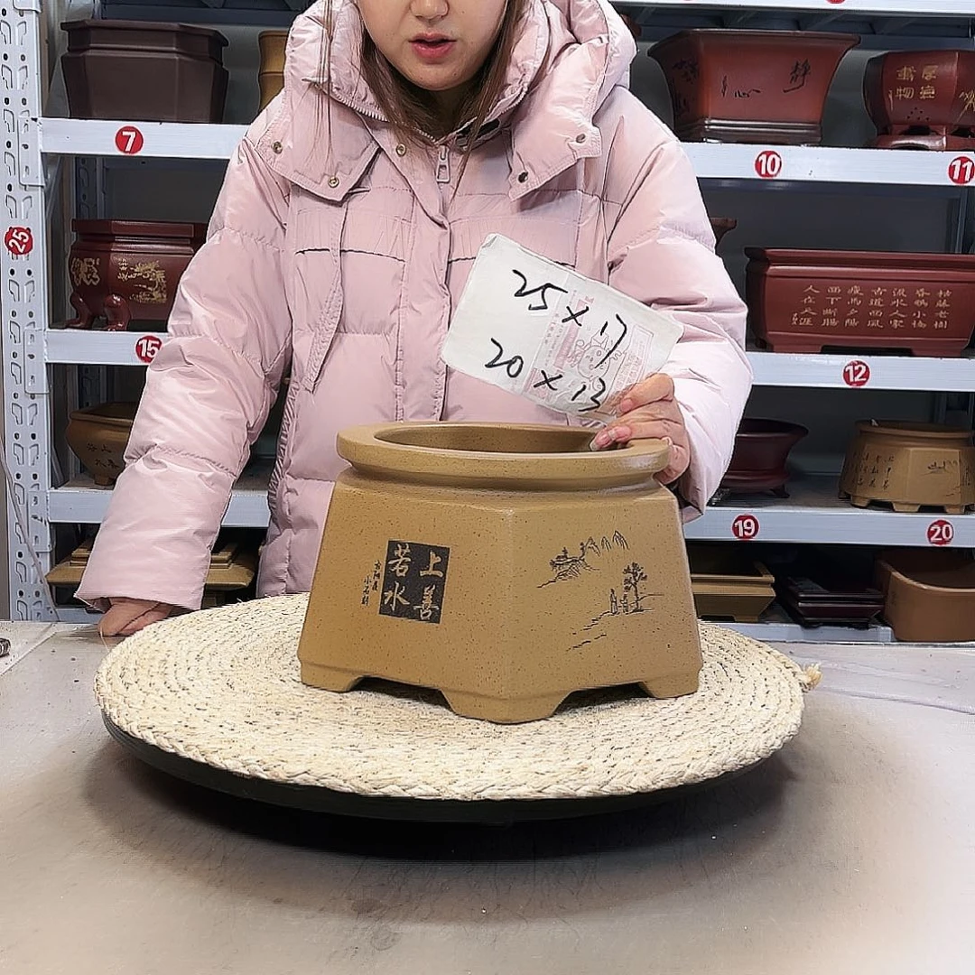 紫砂花盆紫砂花盆中