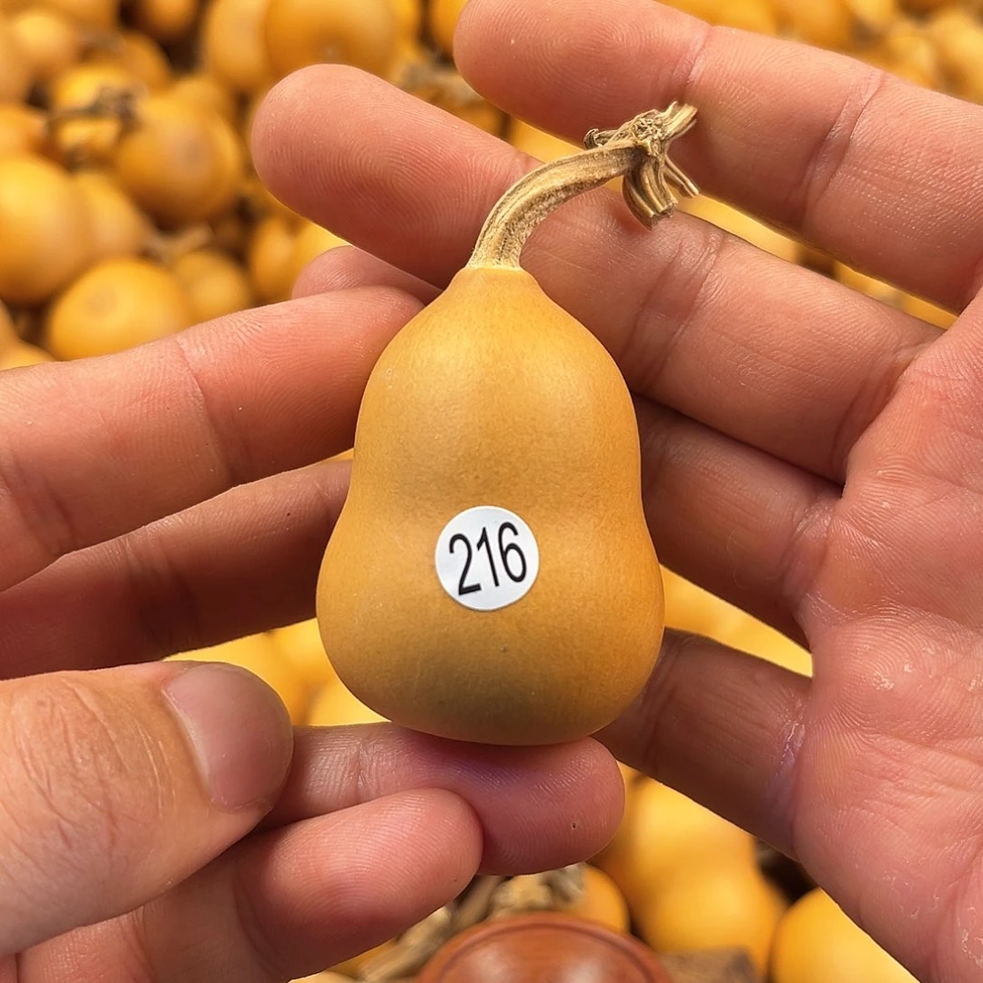 二葫芦葫芦葫芦葫芦216