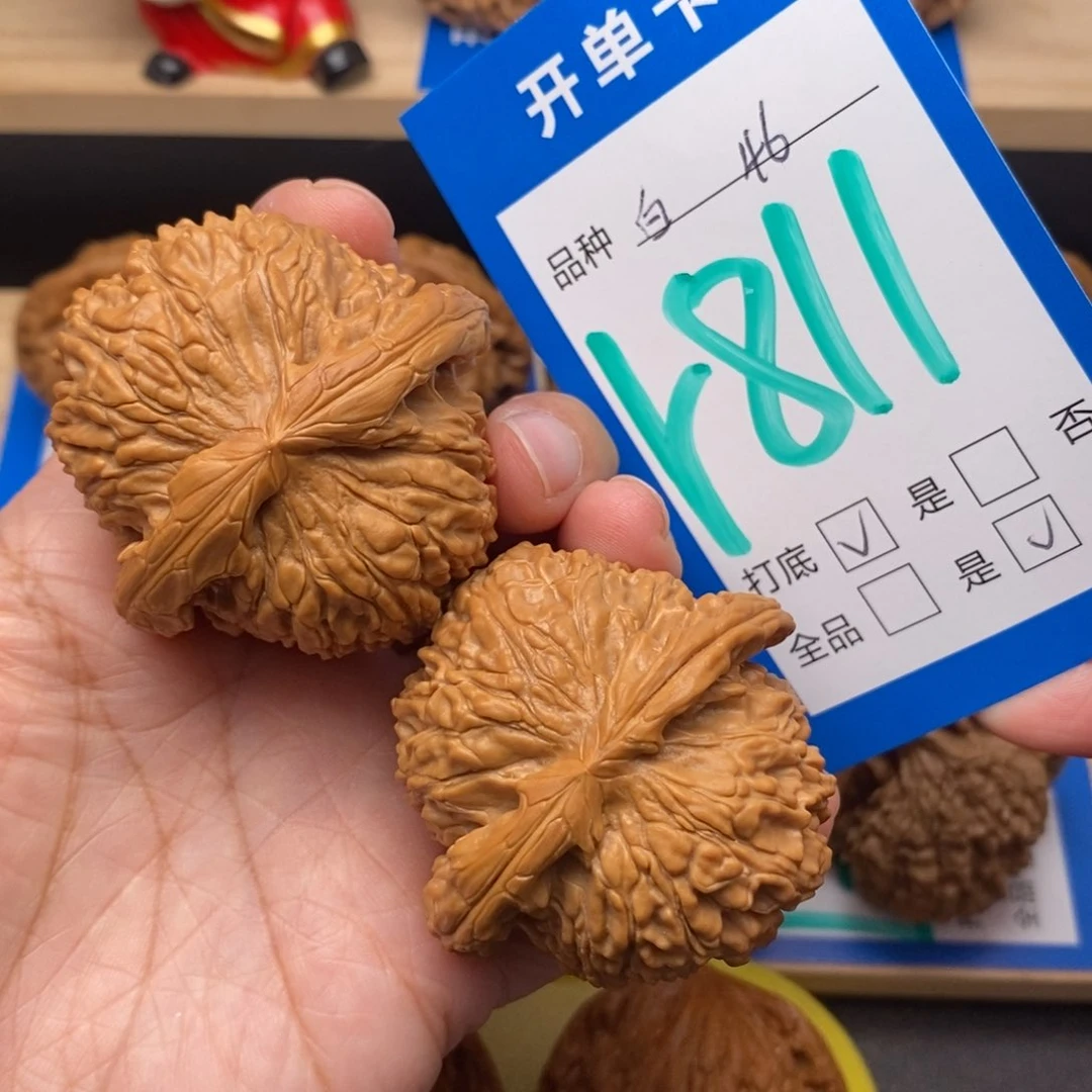 文玩核桃把件46尺白狮子